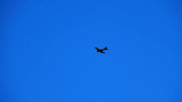 Get Bent! - F4U-4 Corsair 1.2m BNF Basic with AS3X and SAFE Select | HobbyView смотреть онлайн