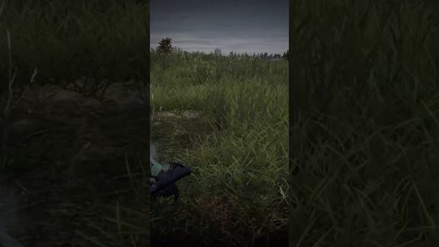 When your teammate shoots too early 💀 #gaming #dayz #discord смотреть онлайн