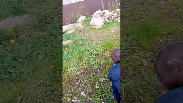 Ой я не надо ничего делать