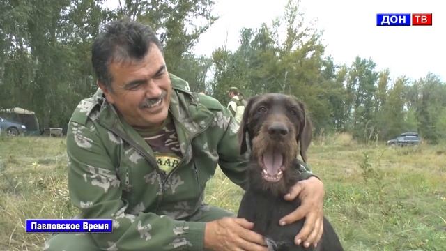 Соревнования охотничьих собак. г. Павловск Воронежской обл.