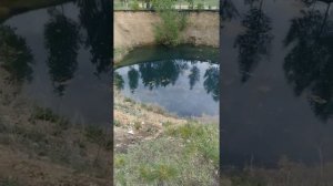 Станция Калейкино Провалище 1 день сьемки