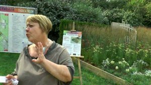 NB-Garden. Ландшафтная мастерская Натальи Борисовой