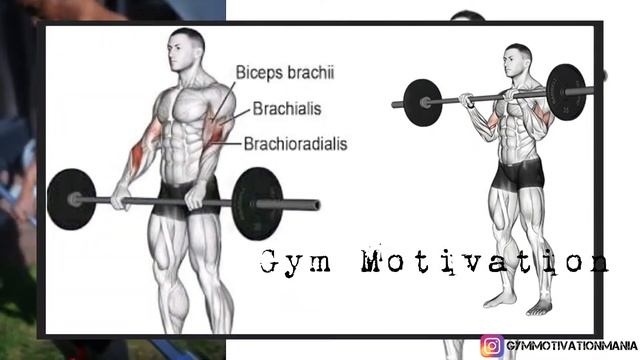 Best 5 Exercises 