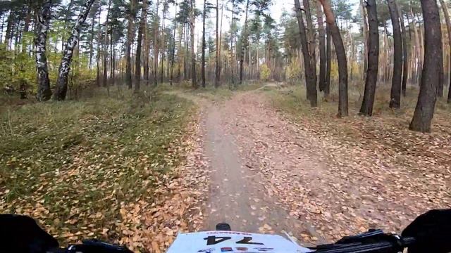 Завершение сезона/кросс-кантри Ковров смотреть онлайн