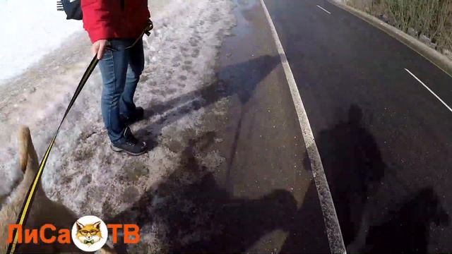 Поездка в приют смотреть онлайн
