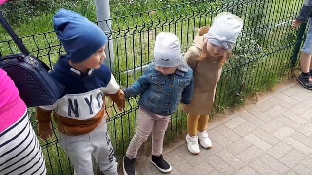 Амалия с ребятами гуляет в зоопарке. Сказка три поросенка смотреть онлайн