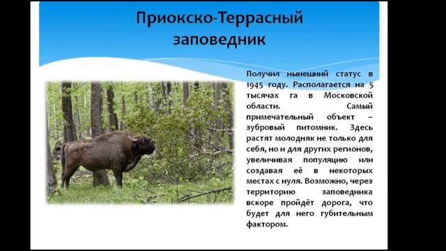 «Заповедные уголки России» –виртуальная экскурсия ко Дню заповедников и национальных парков смотреть онлайн