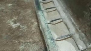 бункерная кормушка для свиней