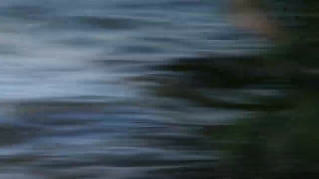 флай и море смотреть онлайн