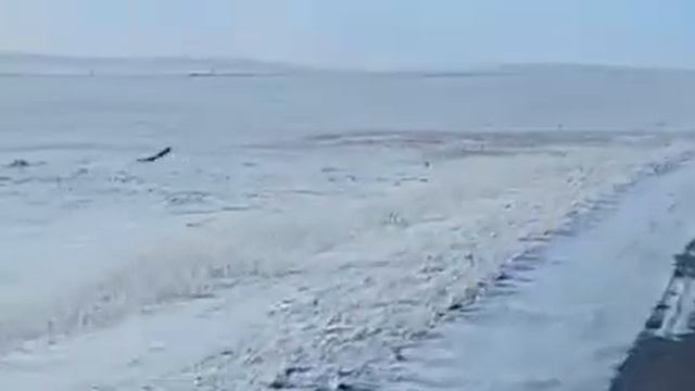 Охота с беркутом смотреть онлайн