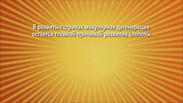 Линзы для очков BBGR: знаете ли вы, что...?