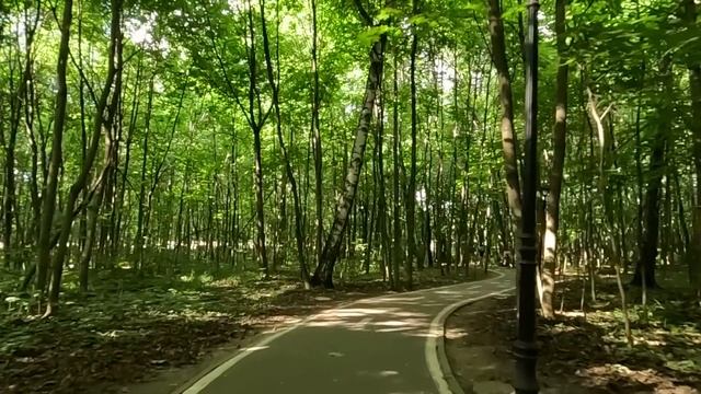 Пока хирург ходил за покупками, побирушка спела его сыну за еду… А едва врач вернулся смотреть онлайн