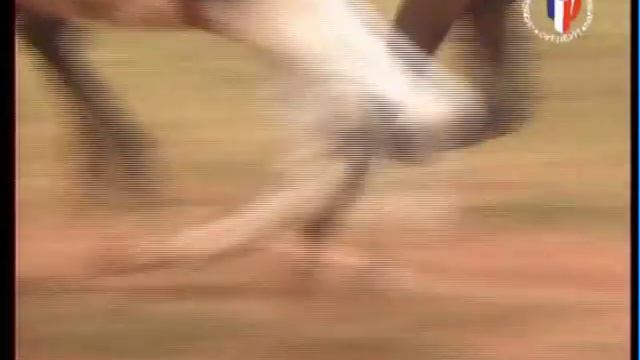 Ансамбль казачьей песни Станица клип СтепьDivX.avi смотреть онлайн