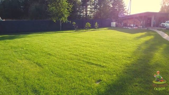 Благоустройство территории в поселке Светлое Ленинградской области смотреть онлайн