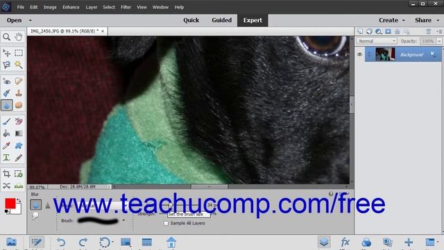 Photoshop Elements 2019 Tutorial Blurring & Sharpening Images Adobe Training смотреть онлайн