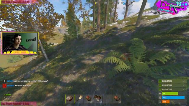 СТРИМ РАСТ☢️РОЗЫГРЫШ СКИНОВ ⛏ (ВАЙП ПОПЫТКА №2) смотреть онлайн