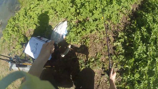 Щучьи Забавы 2017 (Весна) смотреть онлайн