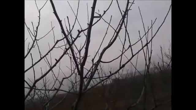 обрезка молодых деревьев в саду смотреть онлайн