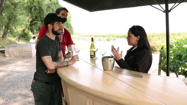Fuí a la Viña Concha y Toro | Conocí el Casillero del Diablo y tomé todos los vinos de Chile смотреть онлайн