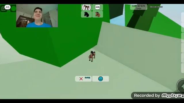 Как получить Премиум В Брук Бесплатно😱😱 смотреть онлайн