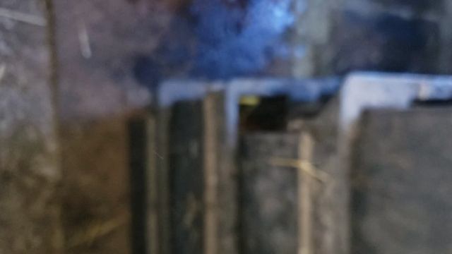 Маточники навозного червя. 24 декабря 2023г. смотреть онлайн