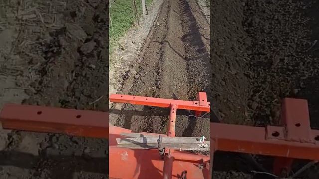 Кубота x 20 сажаем картошку. смотреть онлайн