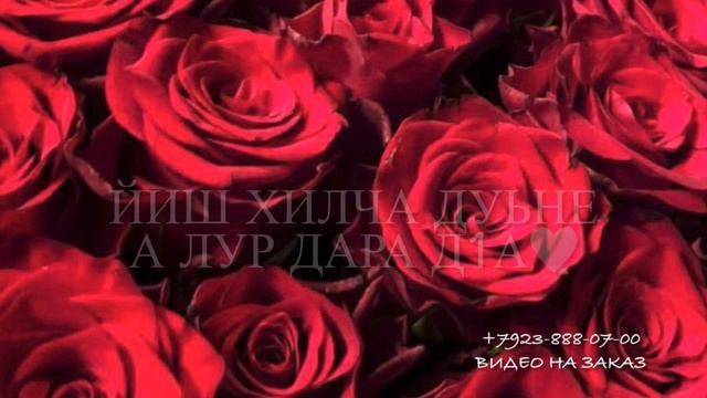 Дала декъал йойл хьо са хьоме йо1? смотреть онлайн