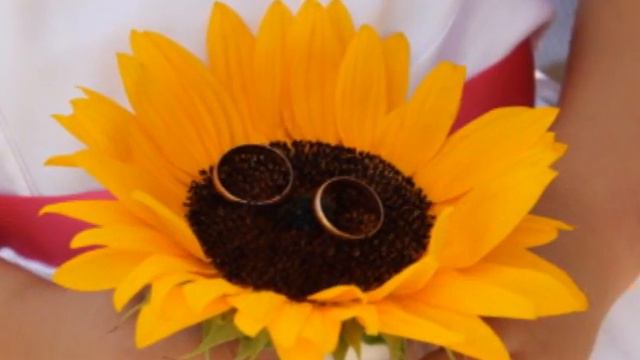 Doriane Santos / Casamento Célia e Júlio смотреть онлайн