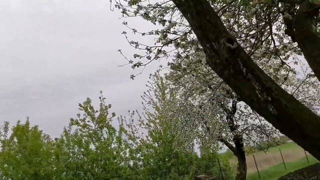 Применение новой Ванне смотреть онлайн