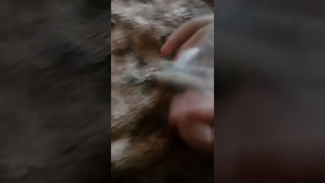 Наушники от iphone 5s смотреть онлайн