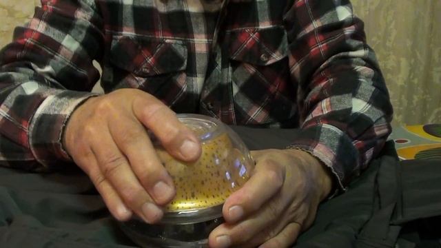 Строительный Дневник