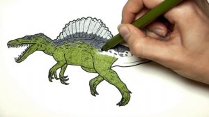 Рисуем и раскрашиваем спинозавра из "Парка Юрского периода" - Раскраски с динозаврами для детей