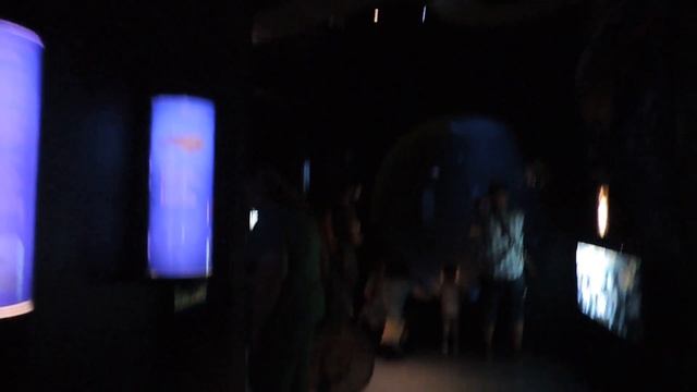 Крит. Ираклион. Критский Аквариум – Cretaquarium 5 из 7 смотреть онлайн