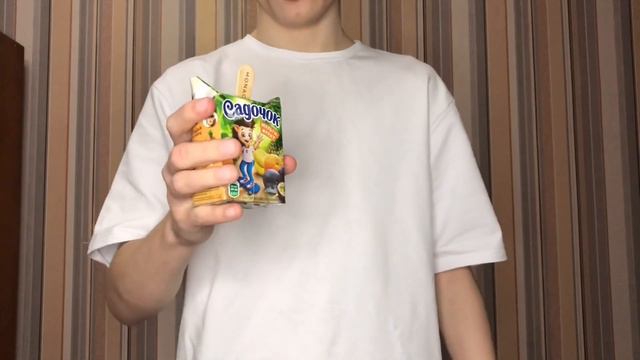 МОРОЖЕНОЕ из СОКА! Вкусно? | Проверка Тик-Ток