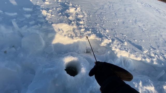 Зимняя рыбалка.Озеро щучье-жерлицы и поиск окуня на мормышку смотреть онлайн