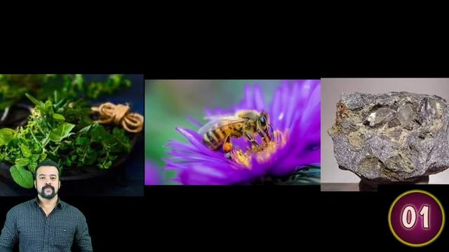 Science Quiz Connection Game смотреть онлайн