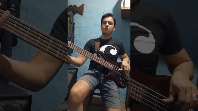 El listón de tu pelo ( los ángeles azules) cover bajo cumbia ibanez sr 505 korea bass смотреть онлайн