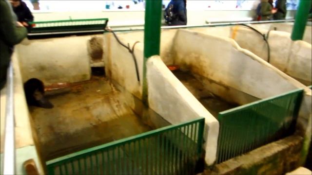 Воронежский государственный природный биосферный заповедник имени В.М.Пескова смотреть онлайн