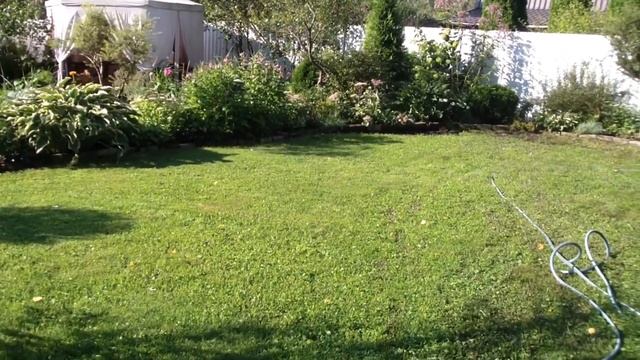 Пруд на даче своими руками за один день!