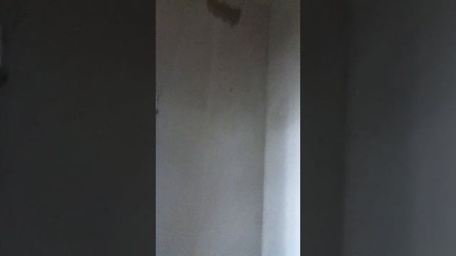 г. Реутов Новокосино-2 корпус 10 часть 3 смотреть онлайн