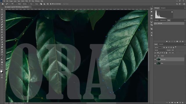 Текст в листьях Adobe Photoshop смотреть онлайн