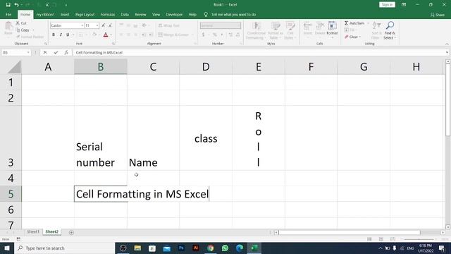 How to Do Cell Formatting in MS Excel | MS Excel Tutorial for Beginners | Bangla | Part-2 смотреть онлайн