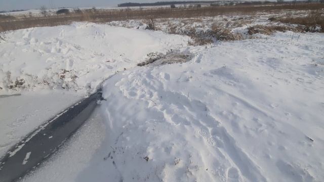 Опасный гость пруда. Часть 2 смотреть онлайн