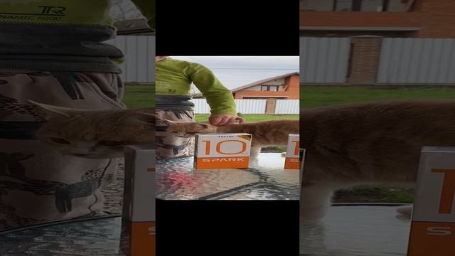 Превью распаковки смартфонов TECHNO