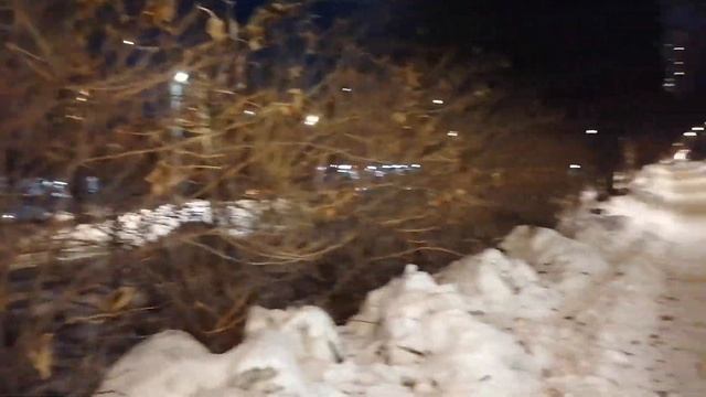 Где я взяла черенки чёрной бузины для укоренения в январе 2023 года. И цветы в снегу. смотреть онлайн