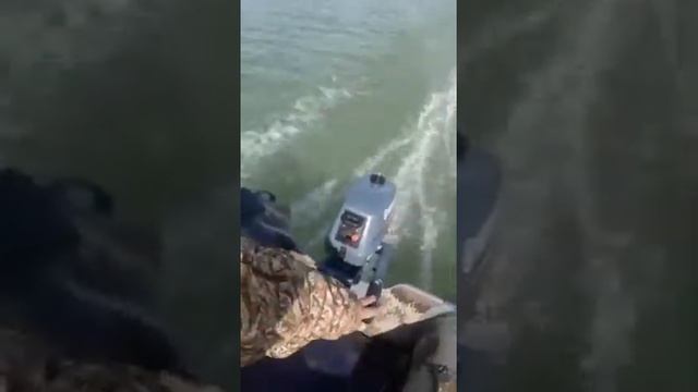 Flinc320 НДНД + 3 ЛС +100КГ смотреть онлайн