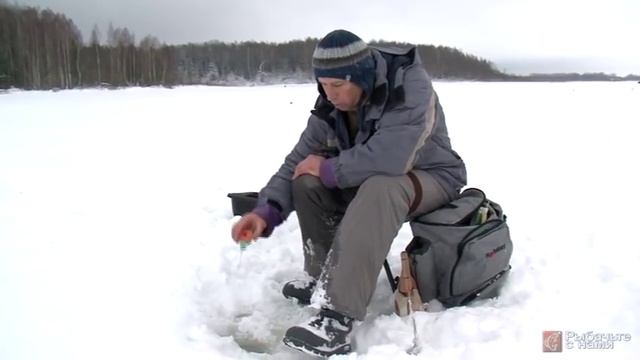 Ловля леща зимой на водохранилище смотреть онлайн