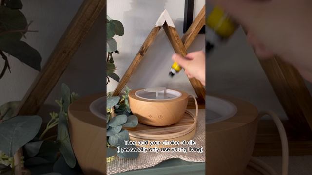 Well Within the Wyld | Glass Dome Diffuser Setup + Instructions смотреть онлайн
