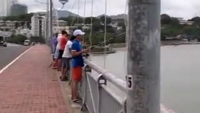 297 Вьетнам Нячанг БОЛЬШОЙ СЕВЕРНЫЙ МОСТ ЧУДНОЕ ДЕРЕВО ИЗБУШКА НА СВАЯХ РЕКА КАЙ NhaTrang BIG BRIDG смотреть онлайн