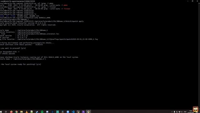Upgrading Oracle Database 19.3 to 19.8 using OPatch for Beginers смотреть онлайн